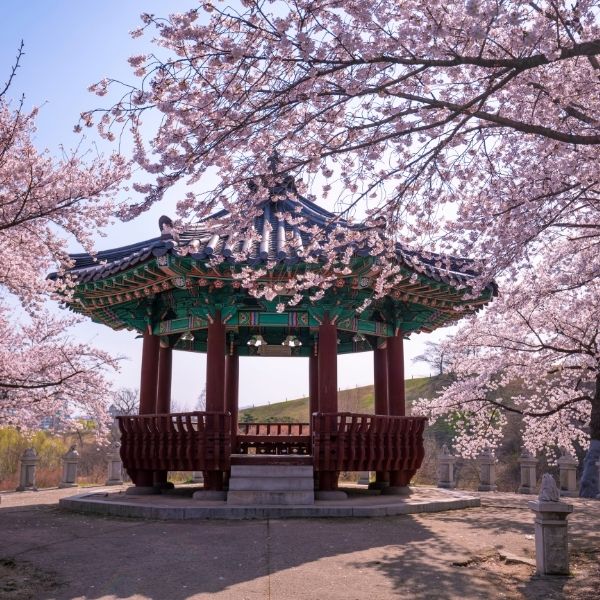 Corea del Sur